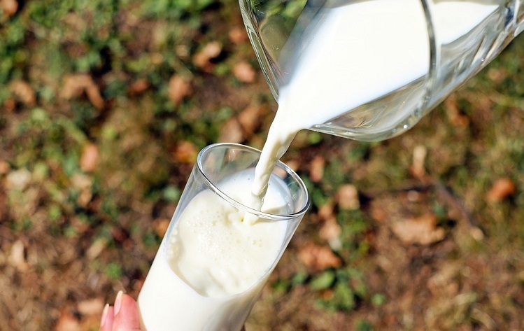 Milch in einem Glas